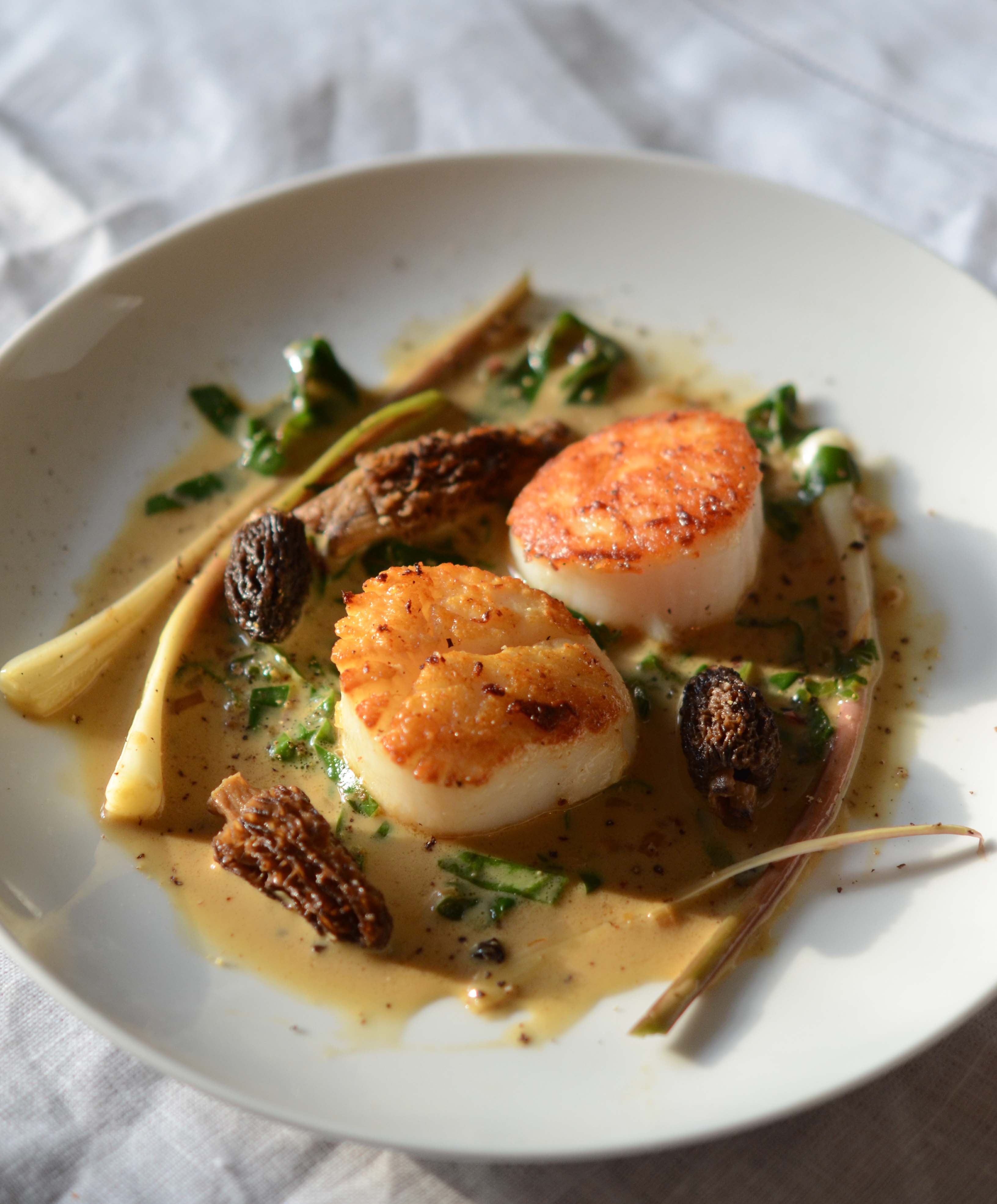 Scallops with Morels, Ramps & SaffronCoconut Milk Sauce